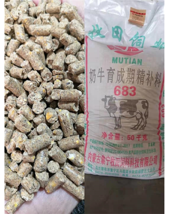 奶牛育成期精補料683